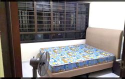 Blk 220A Linear Green @ Bedok (Bedok), HDB 3 Rooms #621761261